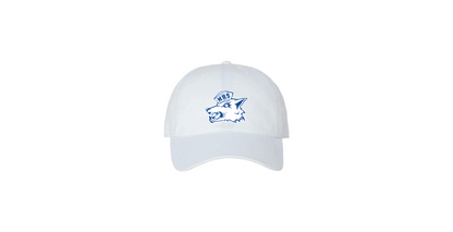 Coyote 47 Brand Clean Up Cap